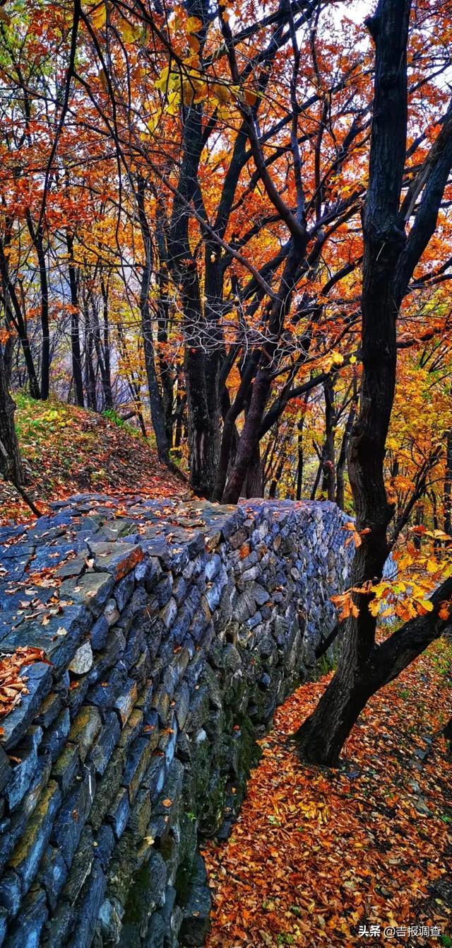 罗通山风景区图片