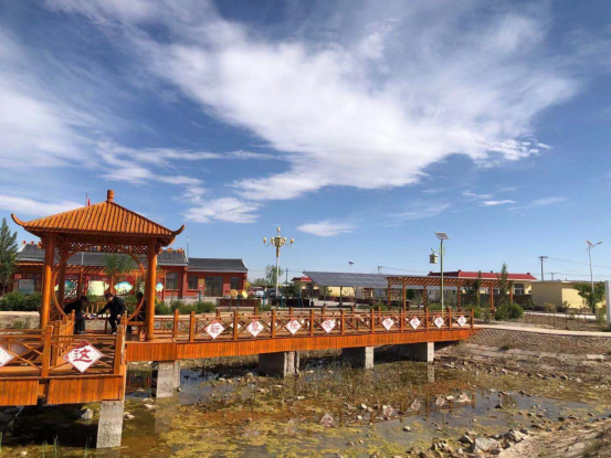 五原县复兴镇庆生村固定党日齐劳动,美化庆生宜居村