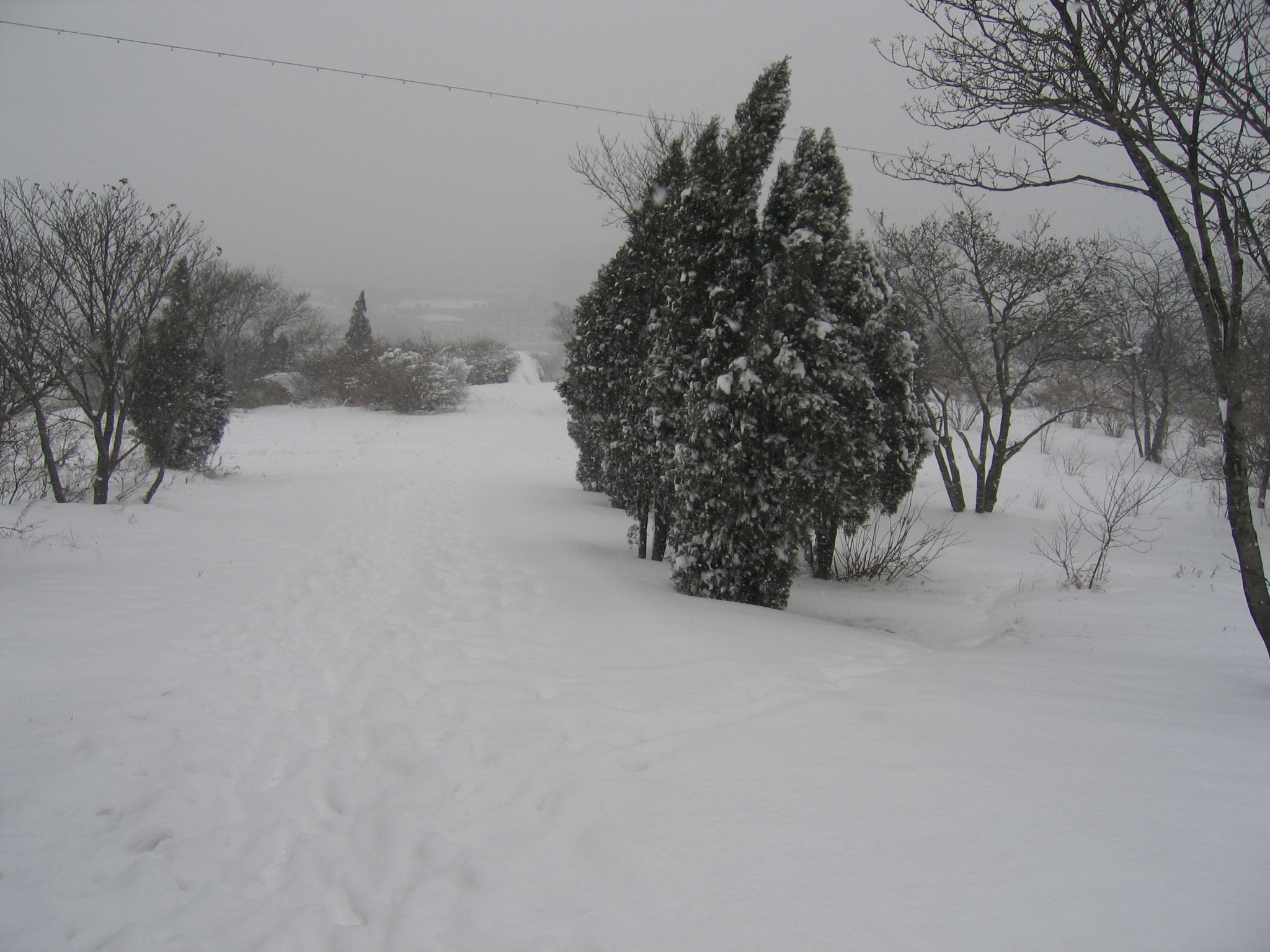 老照片2005大连甘井子樱花街(圈里——大化一宿舍)小编c723船船老长