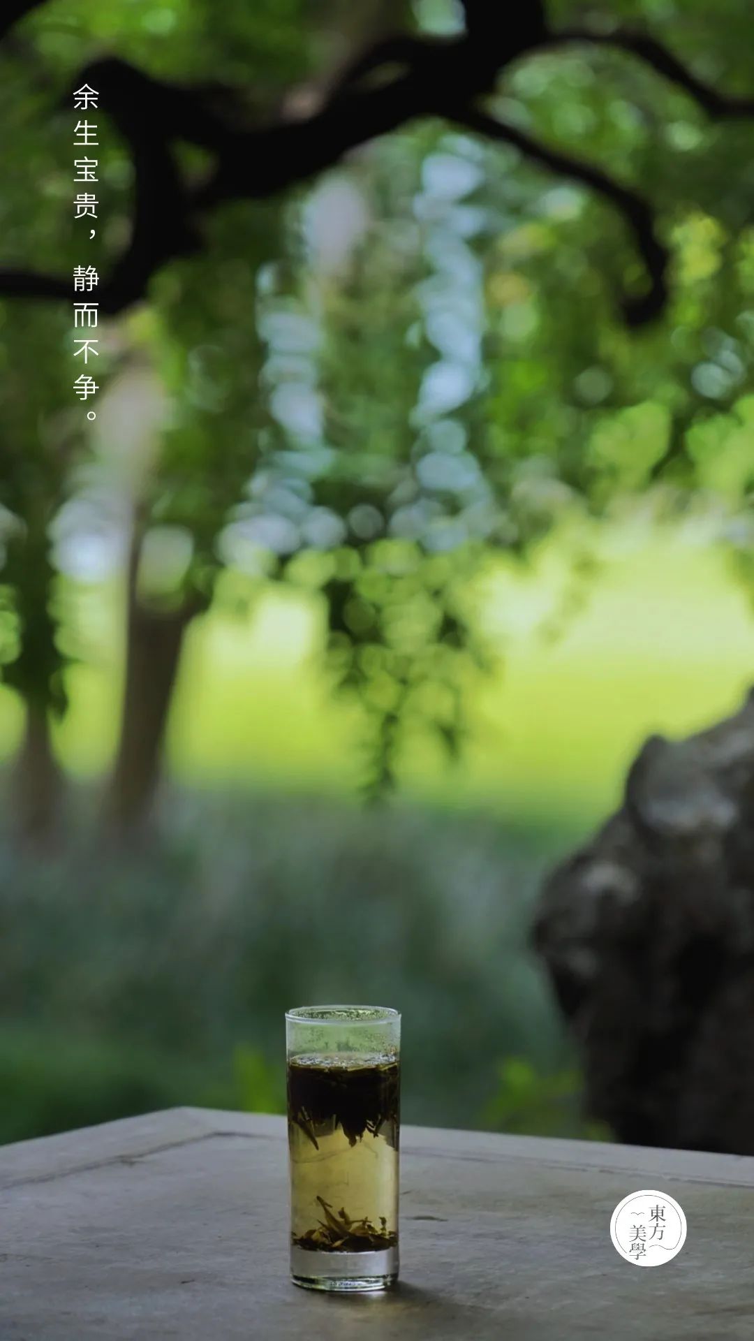 一日禅|余生宝贵,静而不争