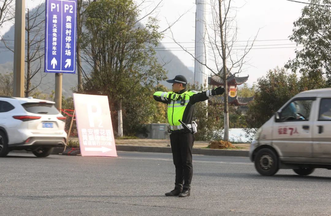 贵安樱花,明年再见!