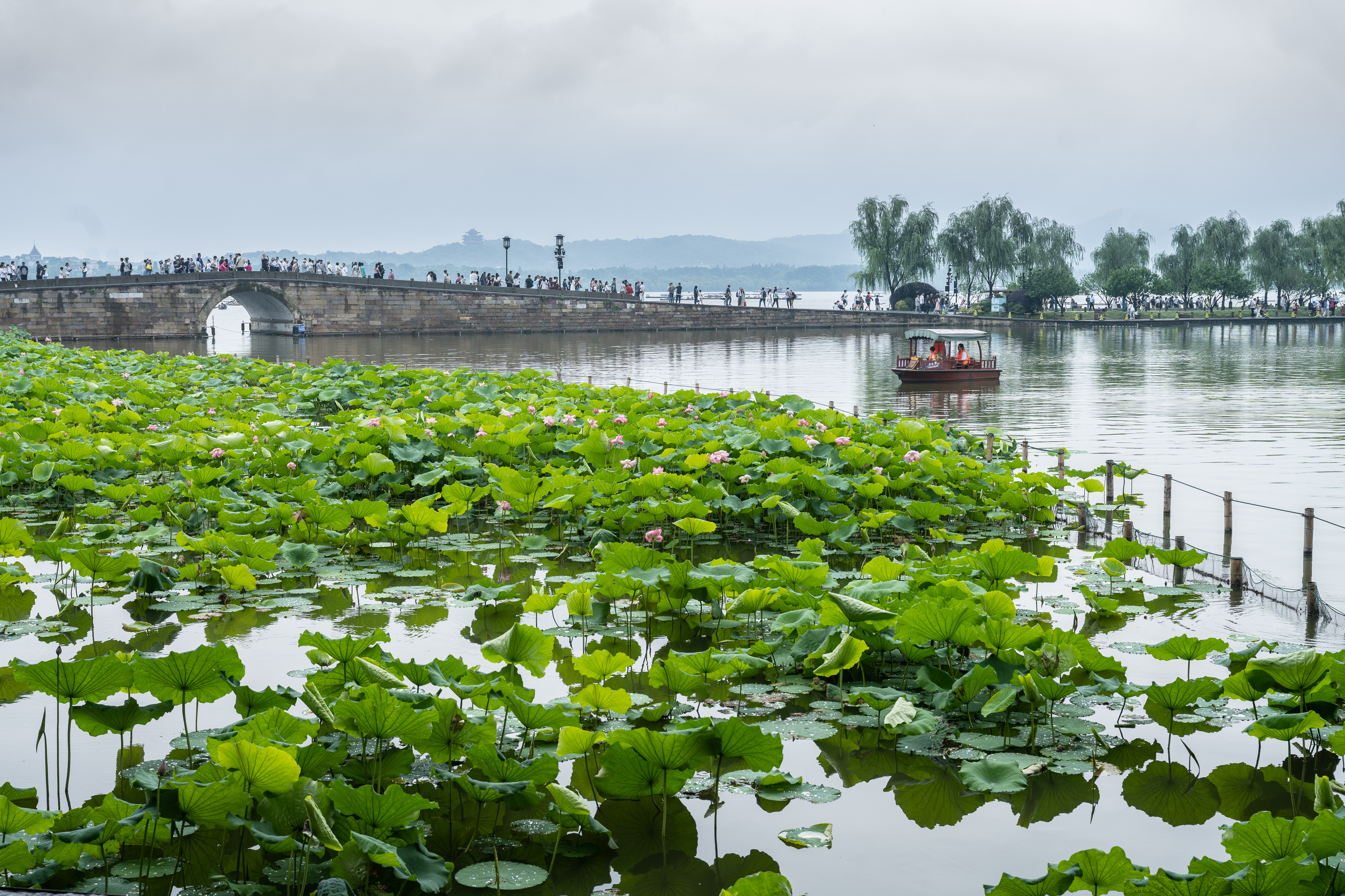 杭州 入梅第一天 断桥阵雨不断