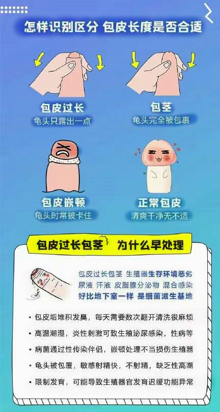 什么才算包茎过长图片