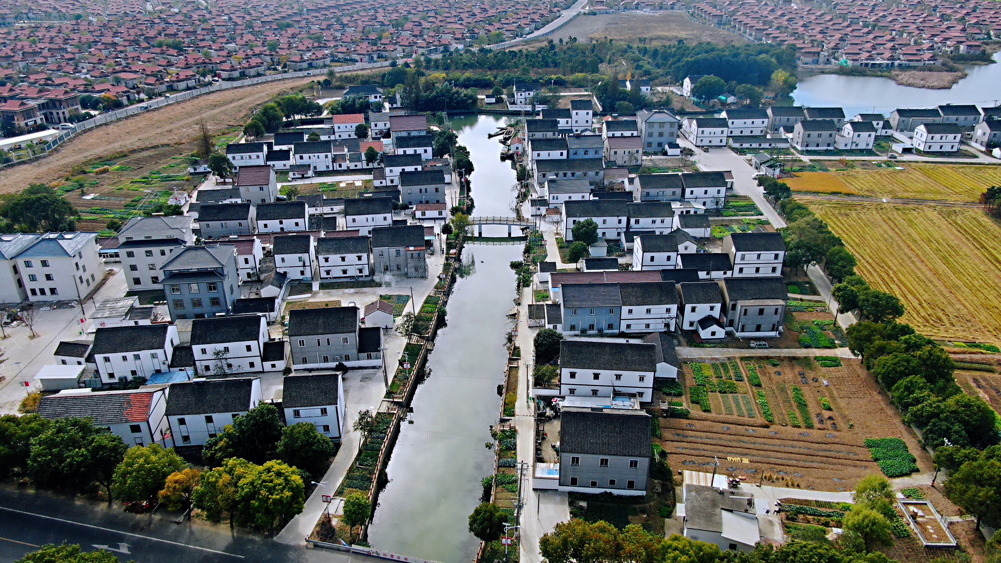 让美丽乡村连片成群!