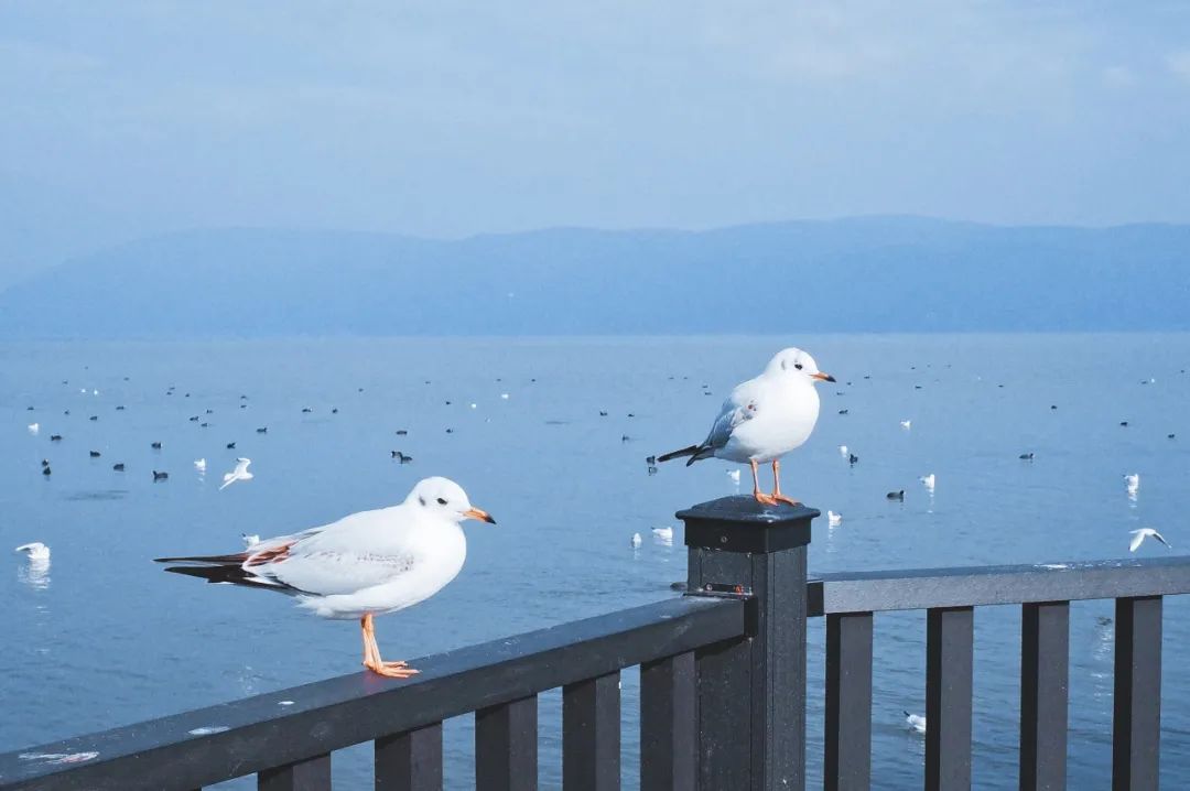 voyage │ 逝川与流光,飘忽不相待