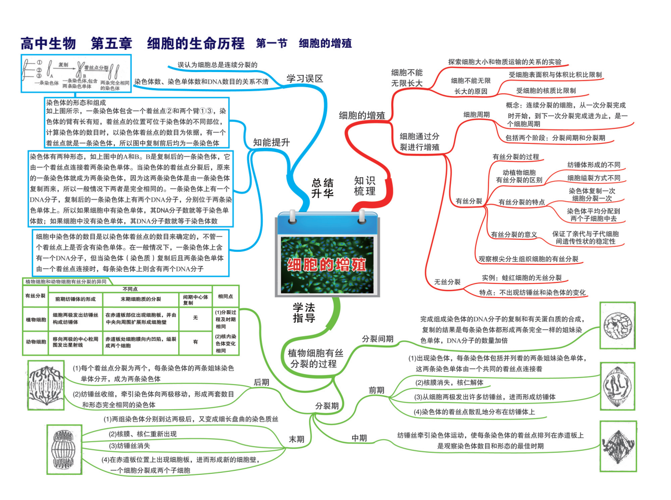 思维导图 高中生物2