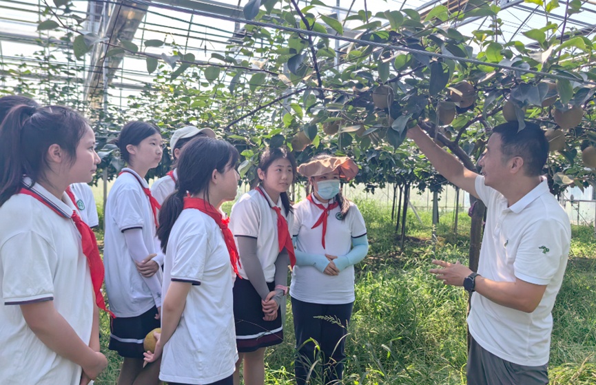 仓桥学校开展2023年水晶梨义卖暑期社会实践