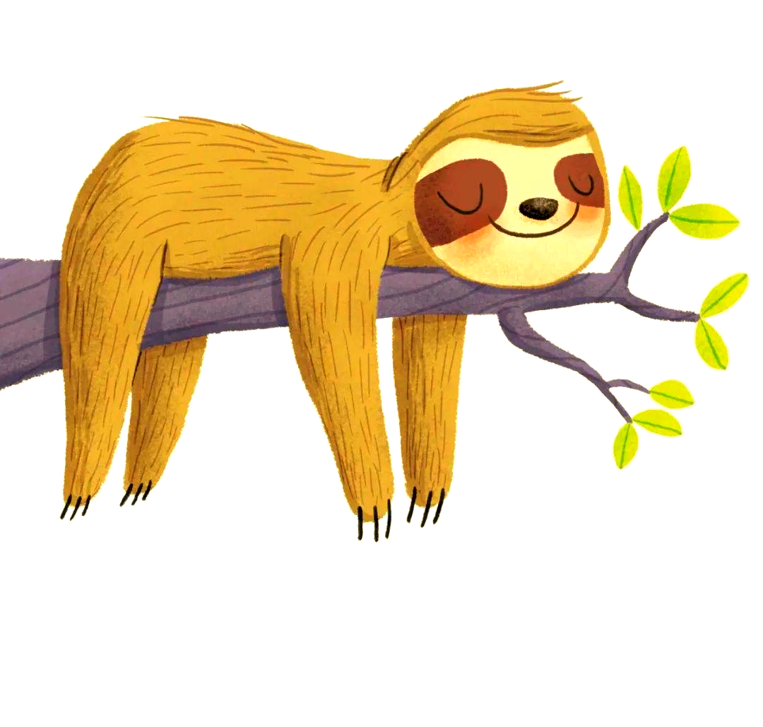 多种树懒简笔画教程合集