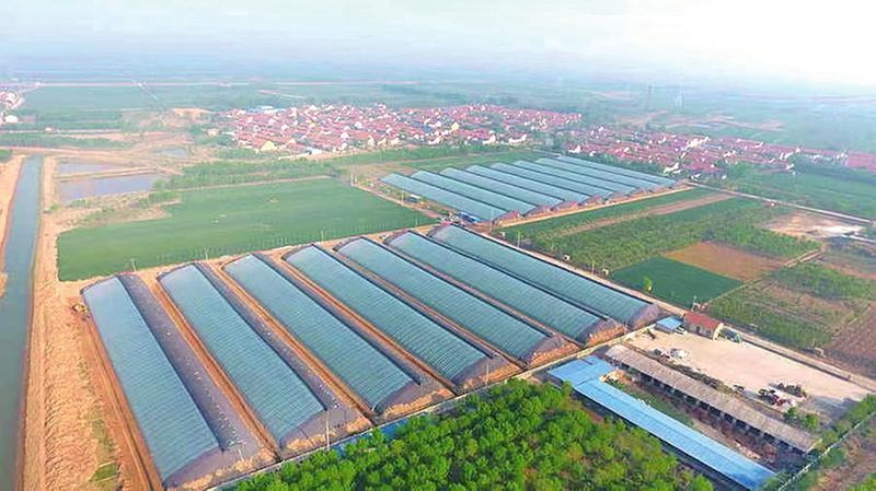 泊头镇实施"1344"工作法打造村民自治新样板