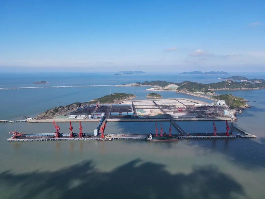 头门港"阵容"又扩大!