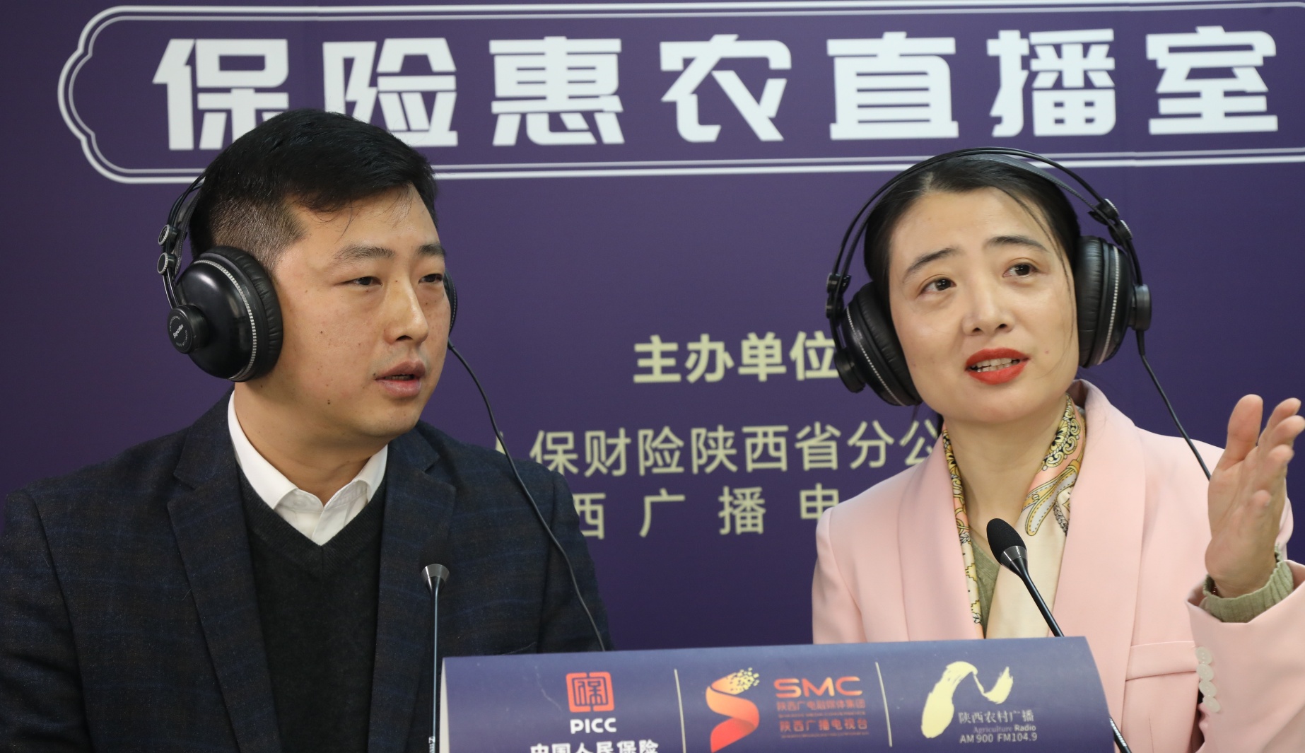 陕西农村广播《保险惠农直播室》第二期 分享西安市农业保险创新工作