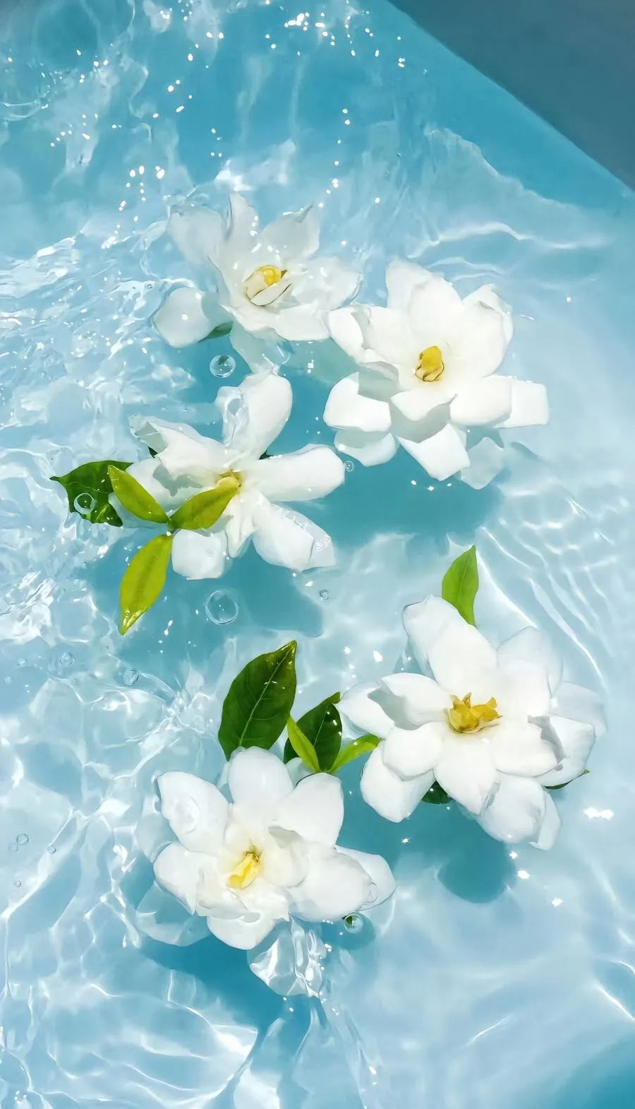 唯美清新壁纸,开启自我爱护的浪漫旅程