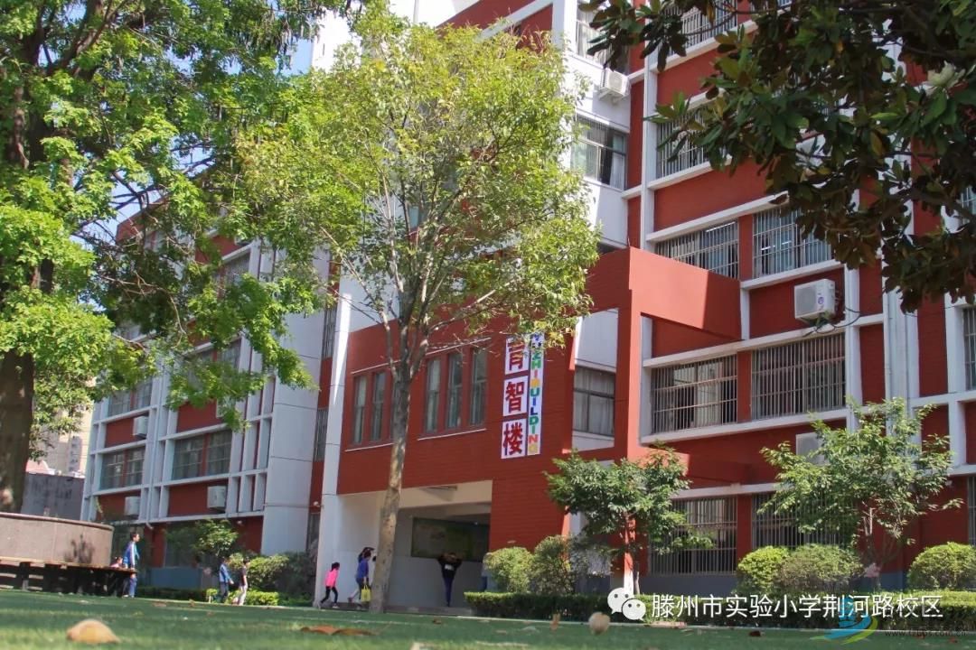 滕州:实验小学关爱英老师讲述"我的教育故事"