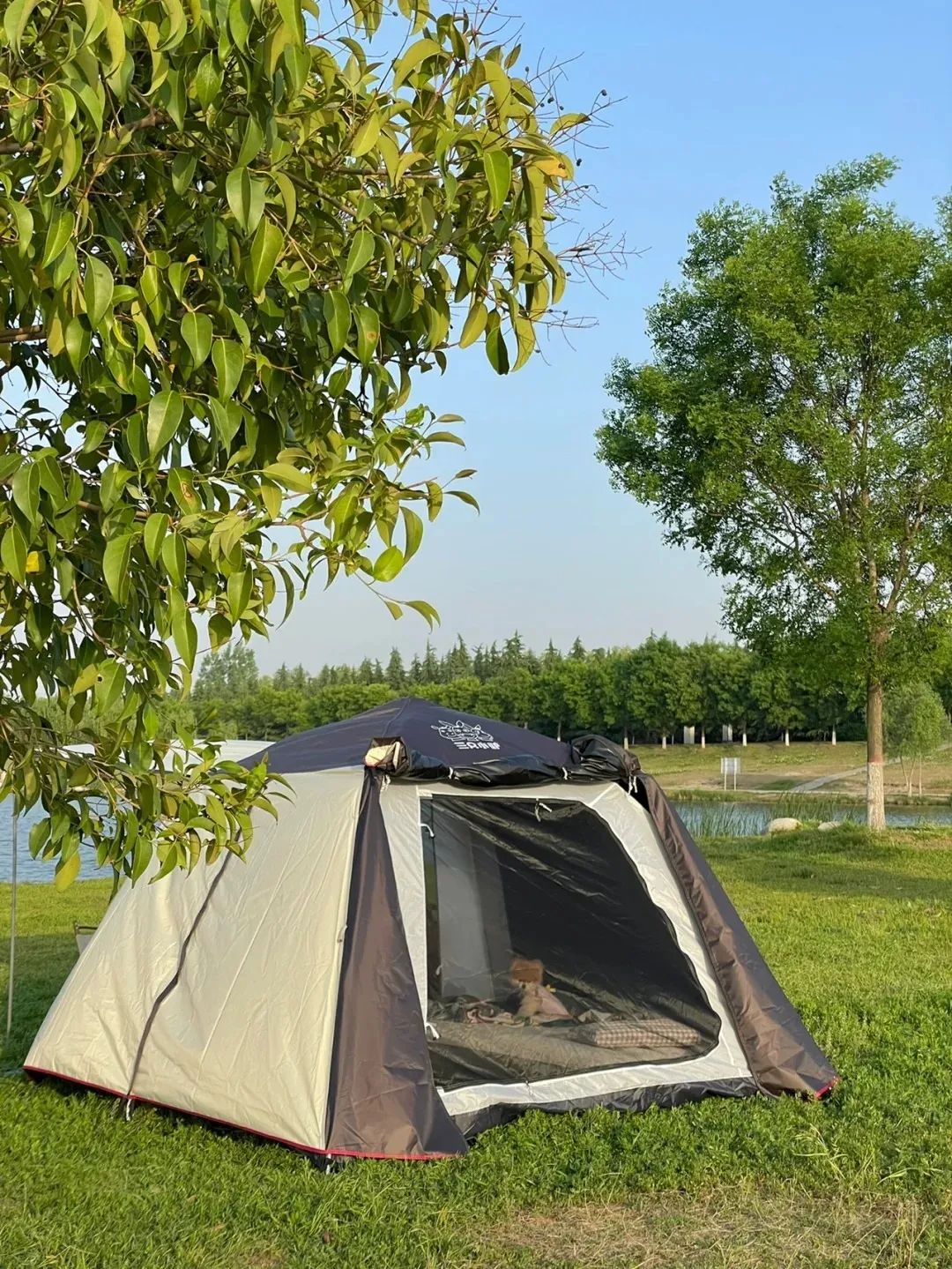 氛围感人少好拍西安人的春天该露营了