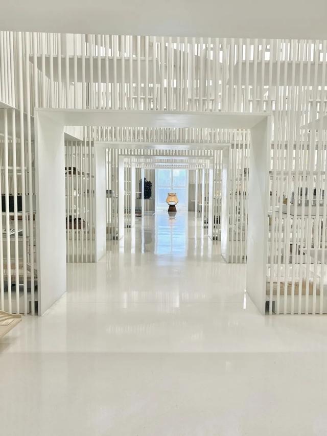 大宁公园,静安雕塑公园今年大宁公园引进了26个品种,50万株不同花期的