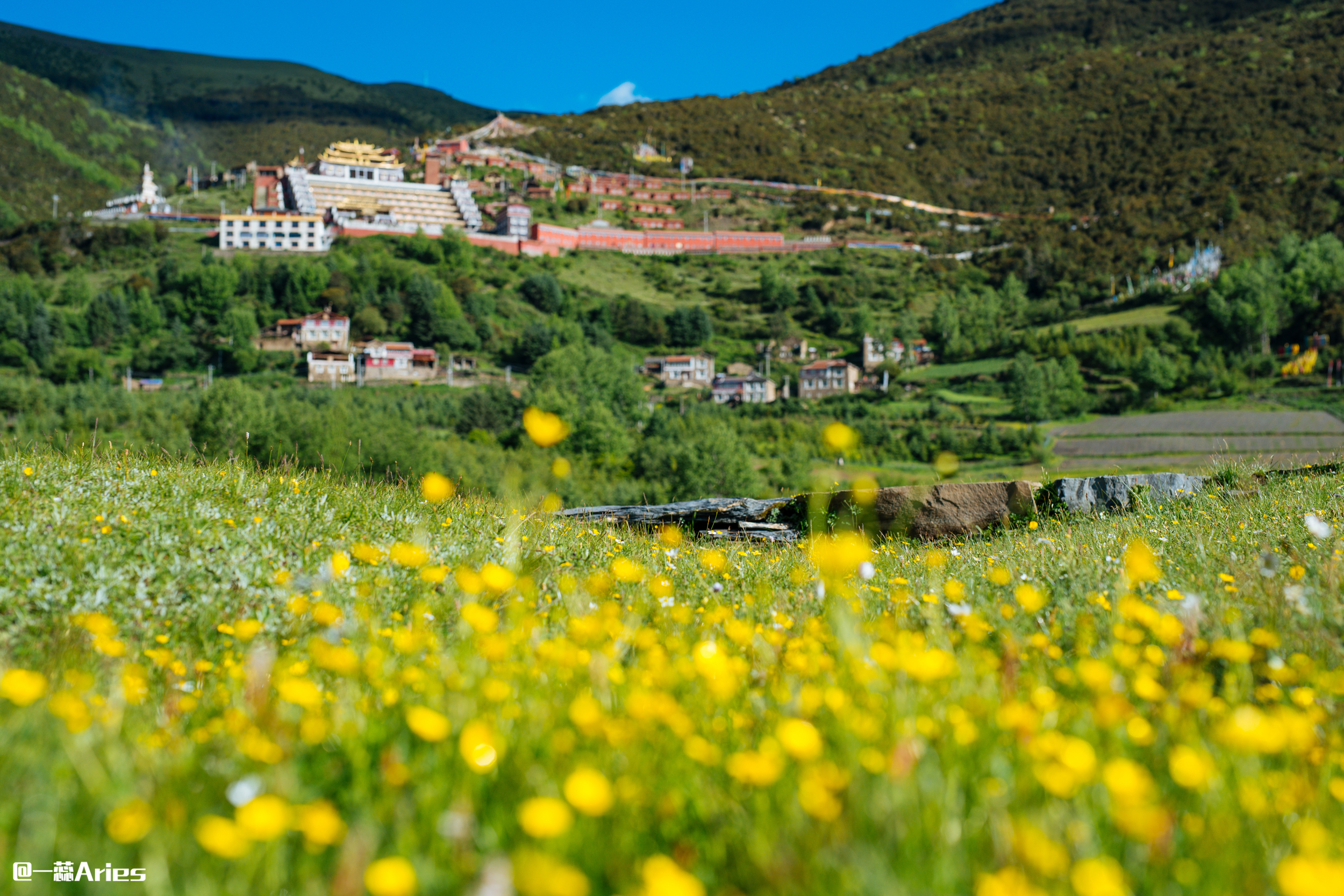 春日必去成都周边全川人都羡慕的4处绝美花海