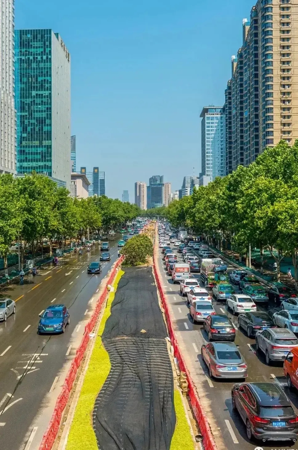 洪灾过后郑州成了花坛城市