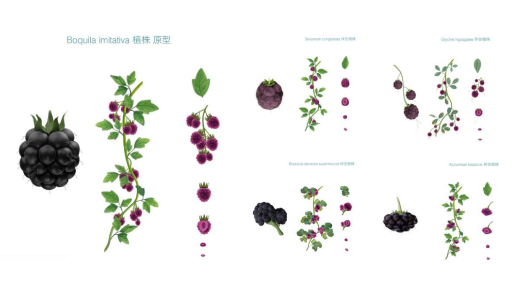 正心诚意求真务实创新设计学院教学检查