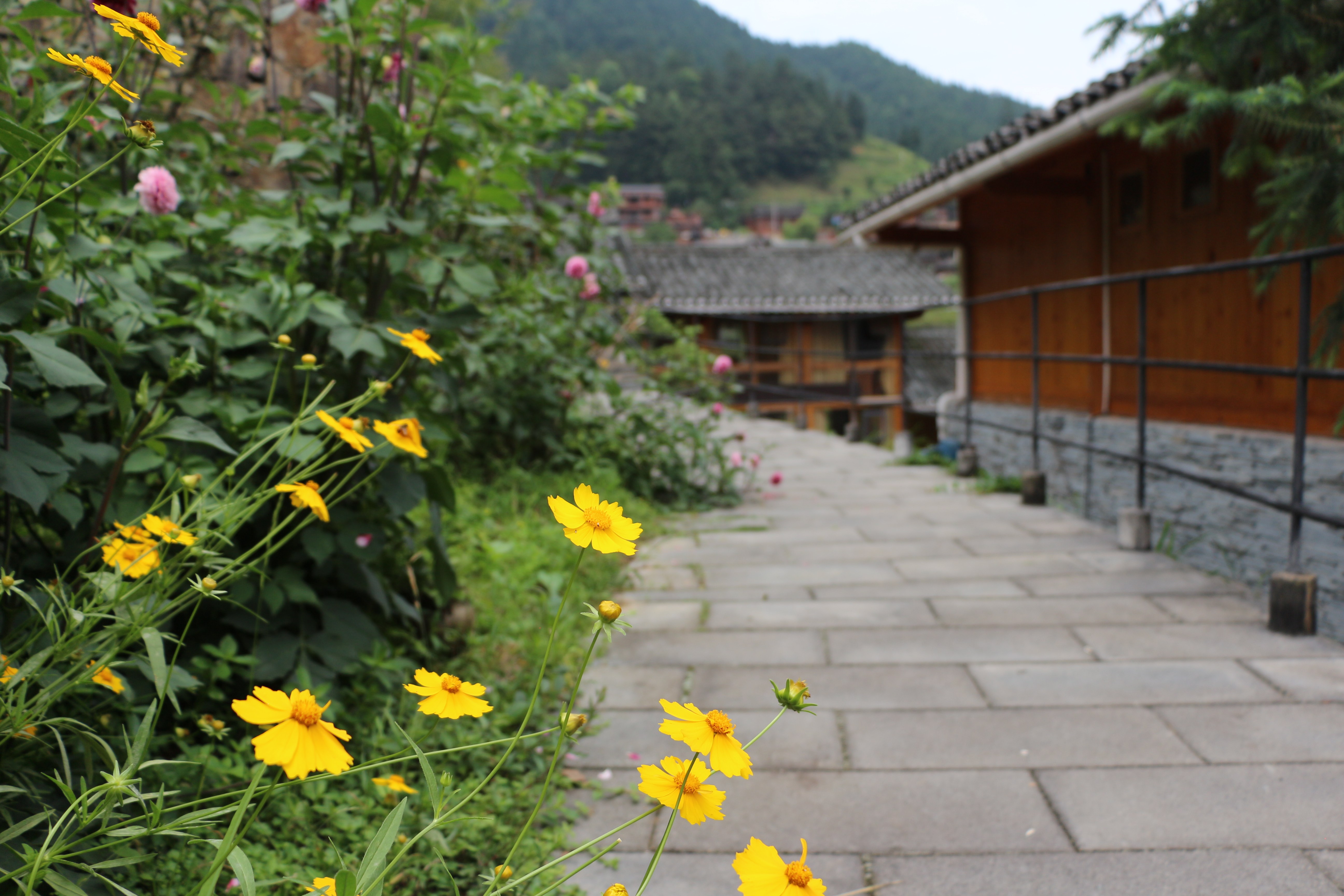 雷山县白岩村图片