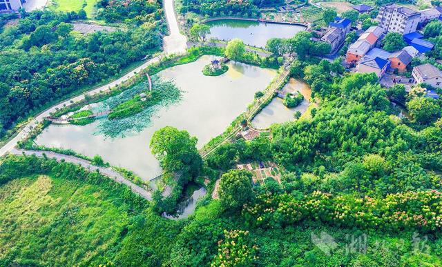 "口袋公园"扮靓美丽乡村