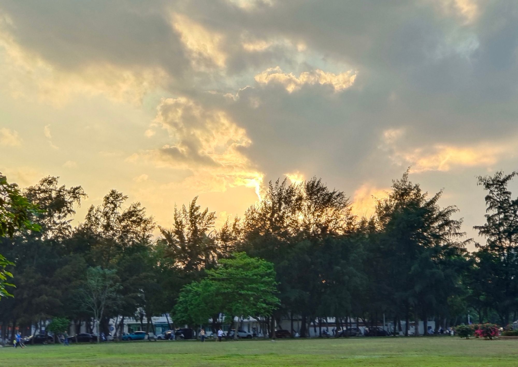 2024考研海南大学法学学硕611&816报考答疑帖