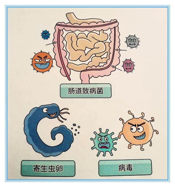 安全宣传进家庭丨夏秋季节交替,注意预防肠道传染病!附常见五种疾病!