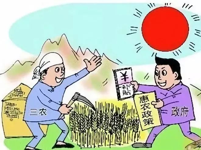 青田县农村信用合作联社:乡村金融温暖之光