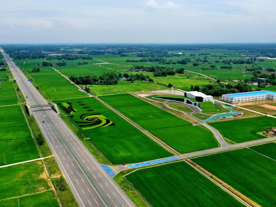 "新农具"耕出"智慧田" 成都大邑县利用数字技术赋能现代农业