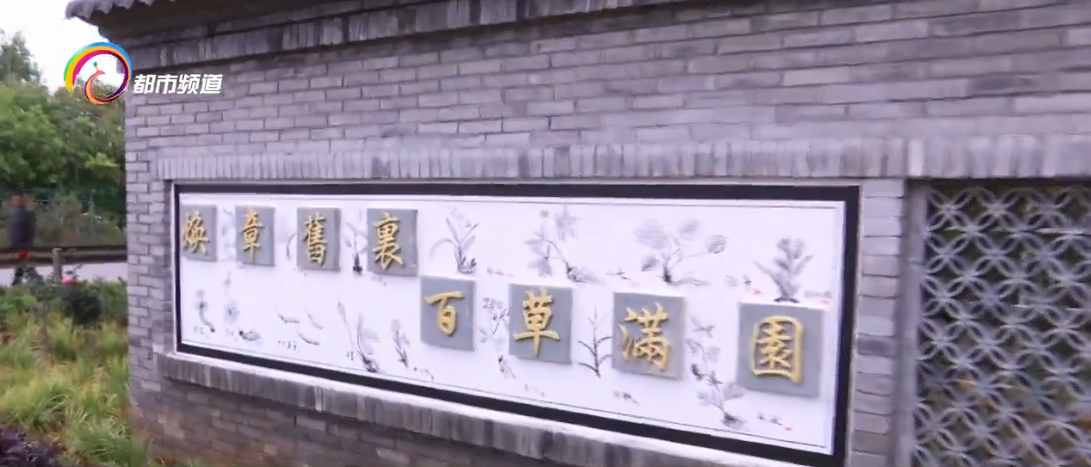昆明老民居:延续百年药香的百草村