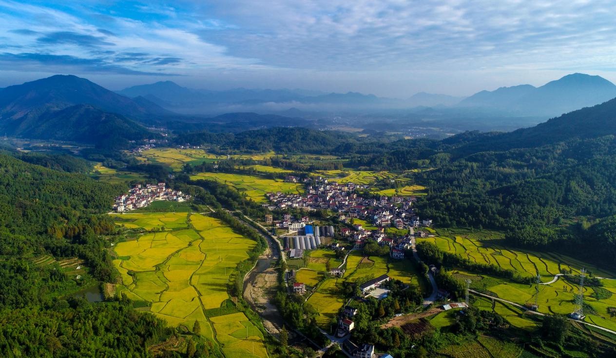 宣城旌德:绿了山 富了民