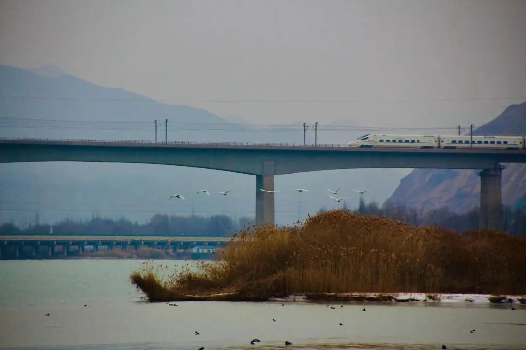 兰新铁路风景图片