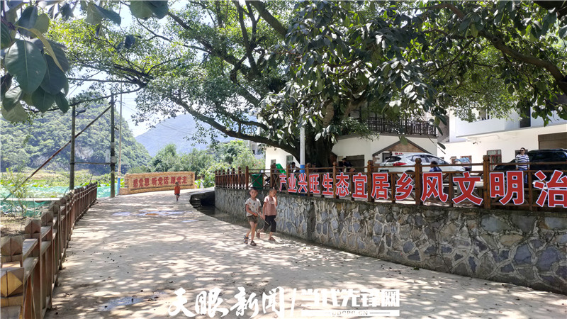 关岭马朝柱:家乡有美景 还有新事业