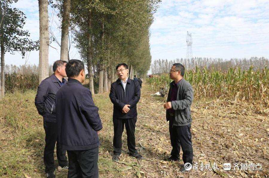 惠民县委副书记,县长刘卫忠调研指导辛店镇秋收秋种工作