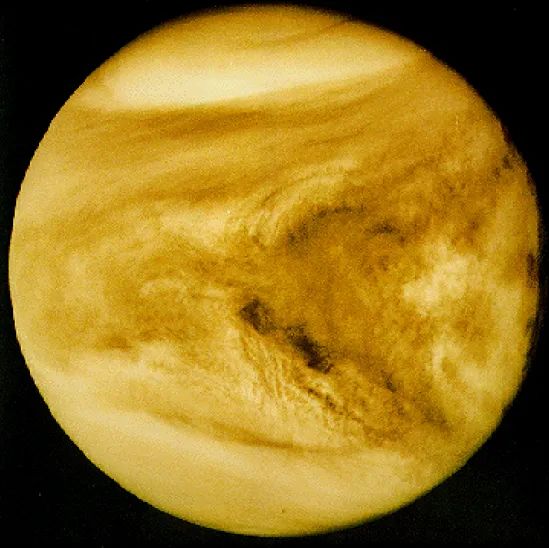 金星上的火山图片