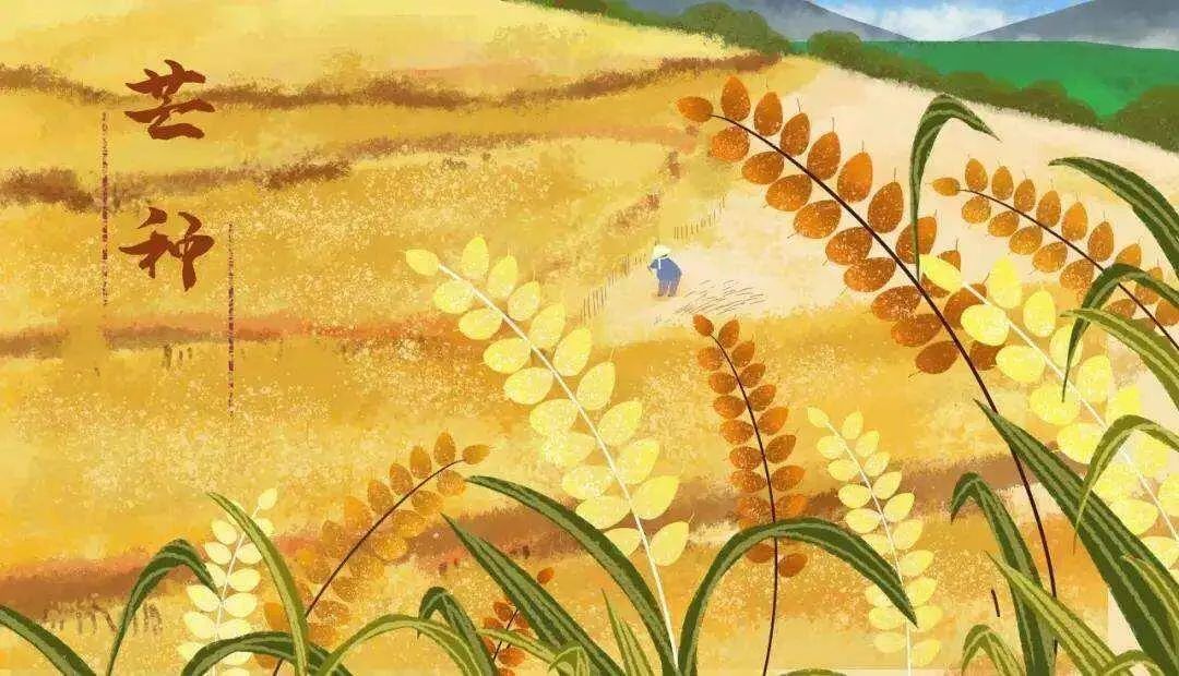 「新晋云帆诗友」汪华光:耕读岁月