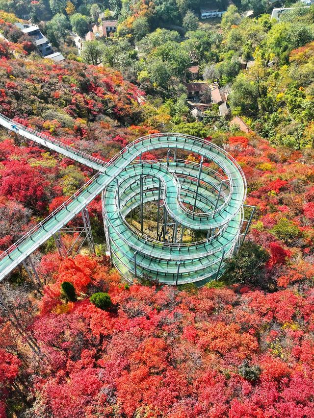 淄川红叶景点大全图片