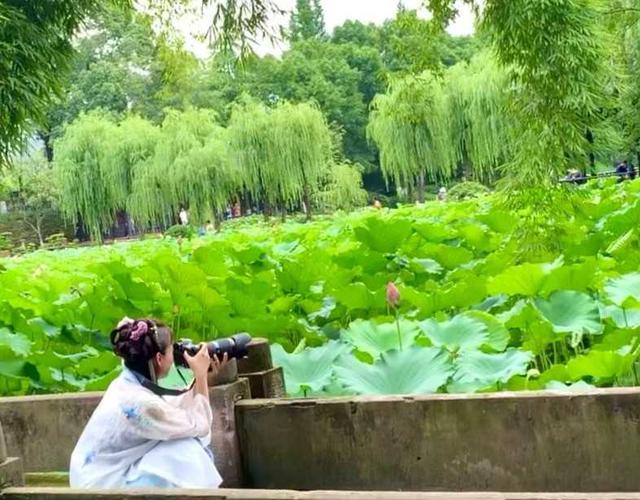 白髮漁樵江渚上,慣看秋月春風——新都升庵祠·寶光寺