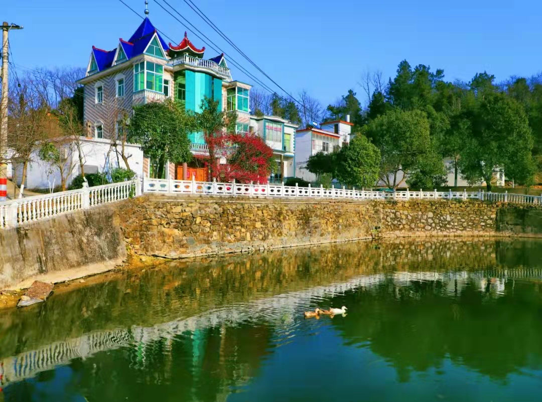 商城县汪桥镇:"四抓四动"全面推进人居环境整治