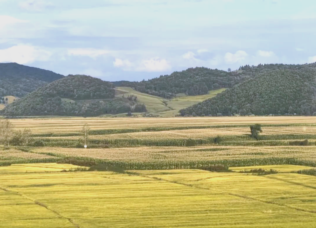 东北平原:中国最大的平原,自然资源丰富