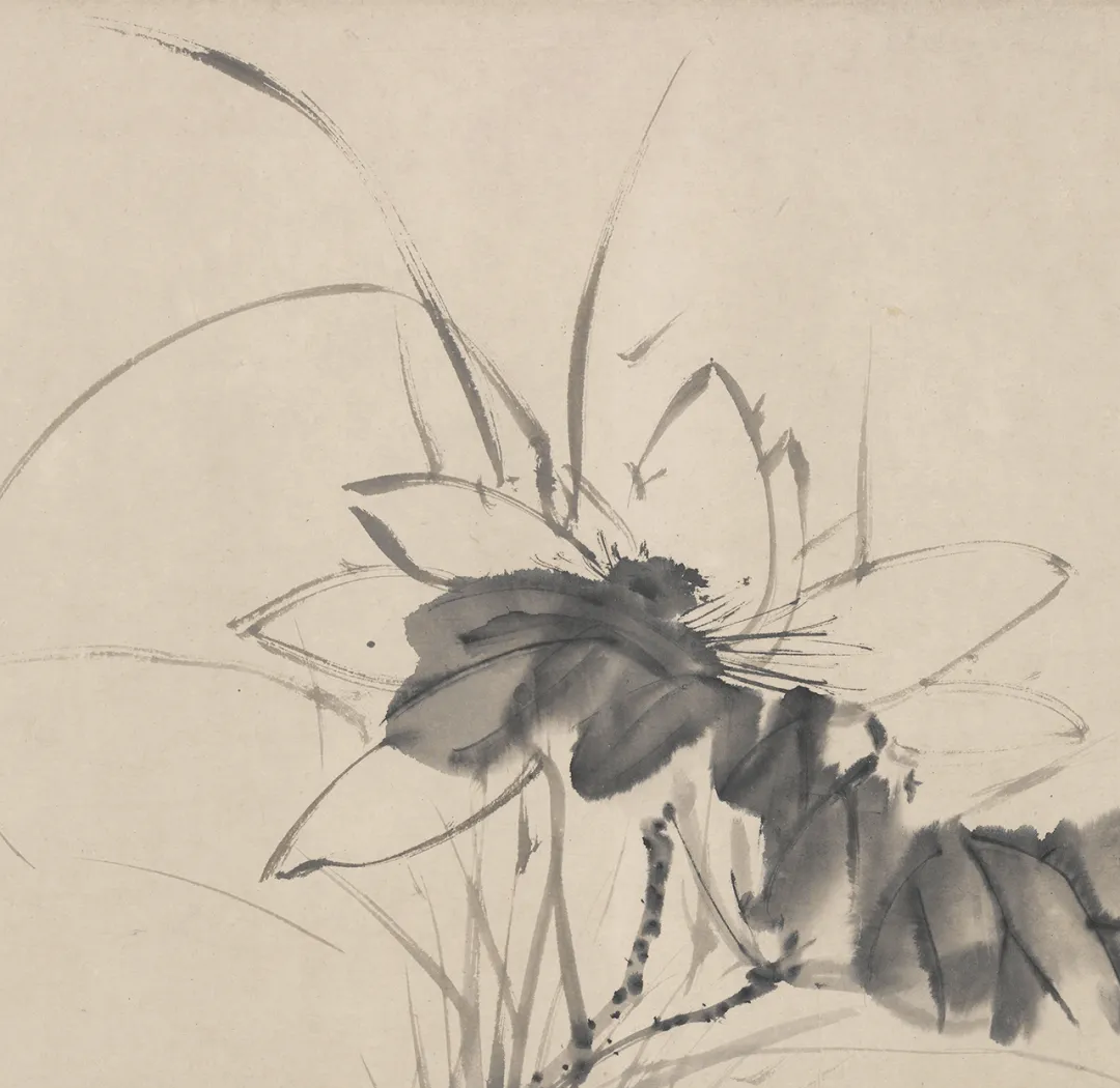 欣赏徐渭的十二墨花图,感受其艺术魅力