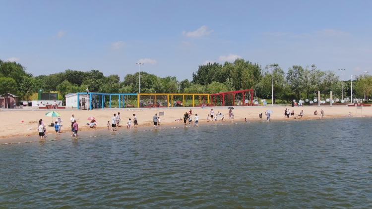 东营森林乐园:沐浴夏日 享受美好时光