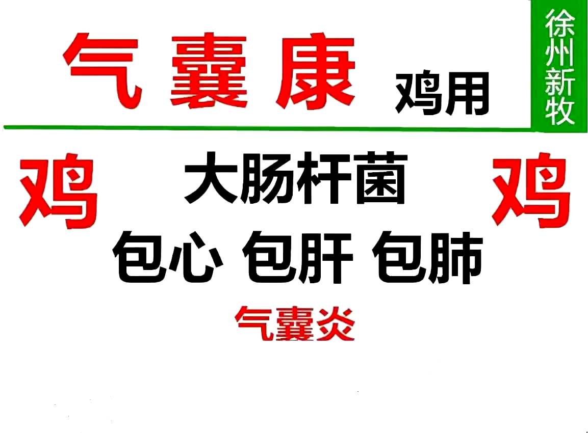 雞患卵黃性腹膜炎會自愈嗎 母雞卵黃性腹膜炎雞腹膜炎症狀圖片