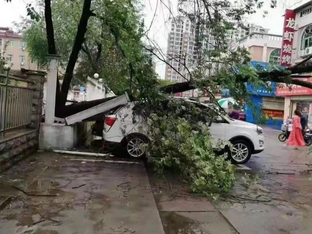 信阳突降大冰雹图片图片