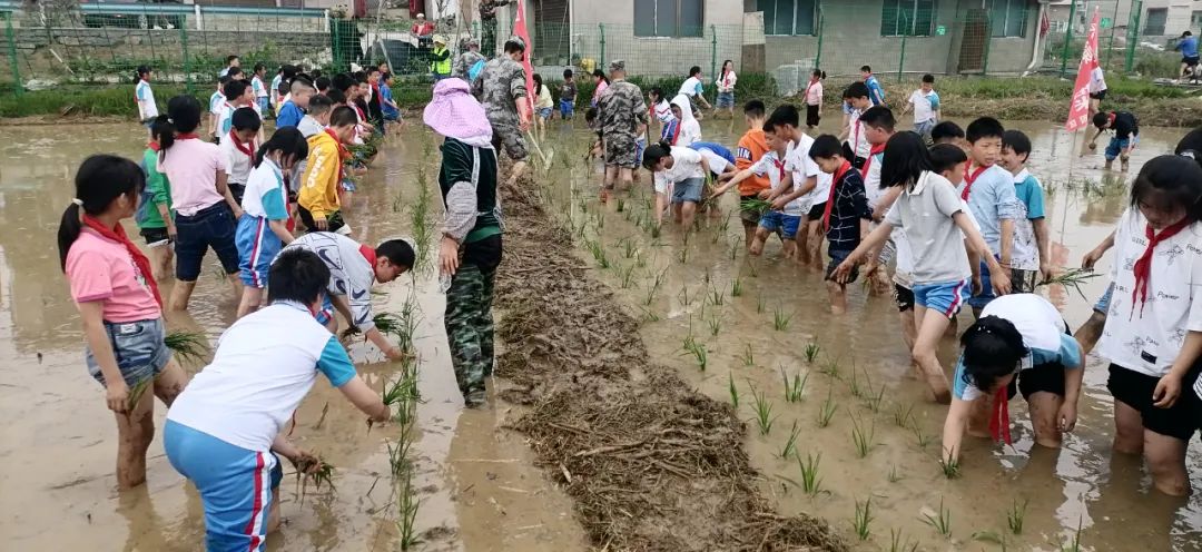 【新时代好少年】安顺市第五小学到平坝区"昊禹·稻花乡里"开展农耕