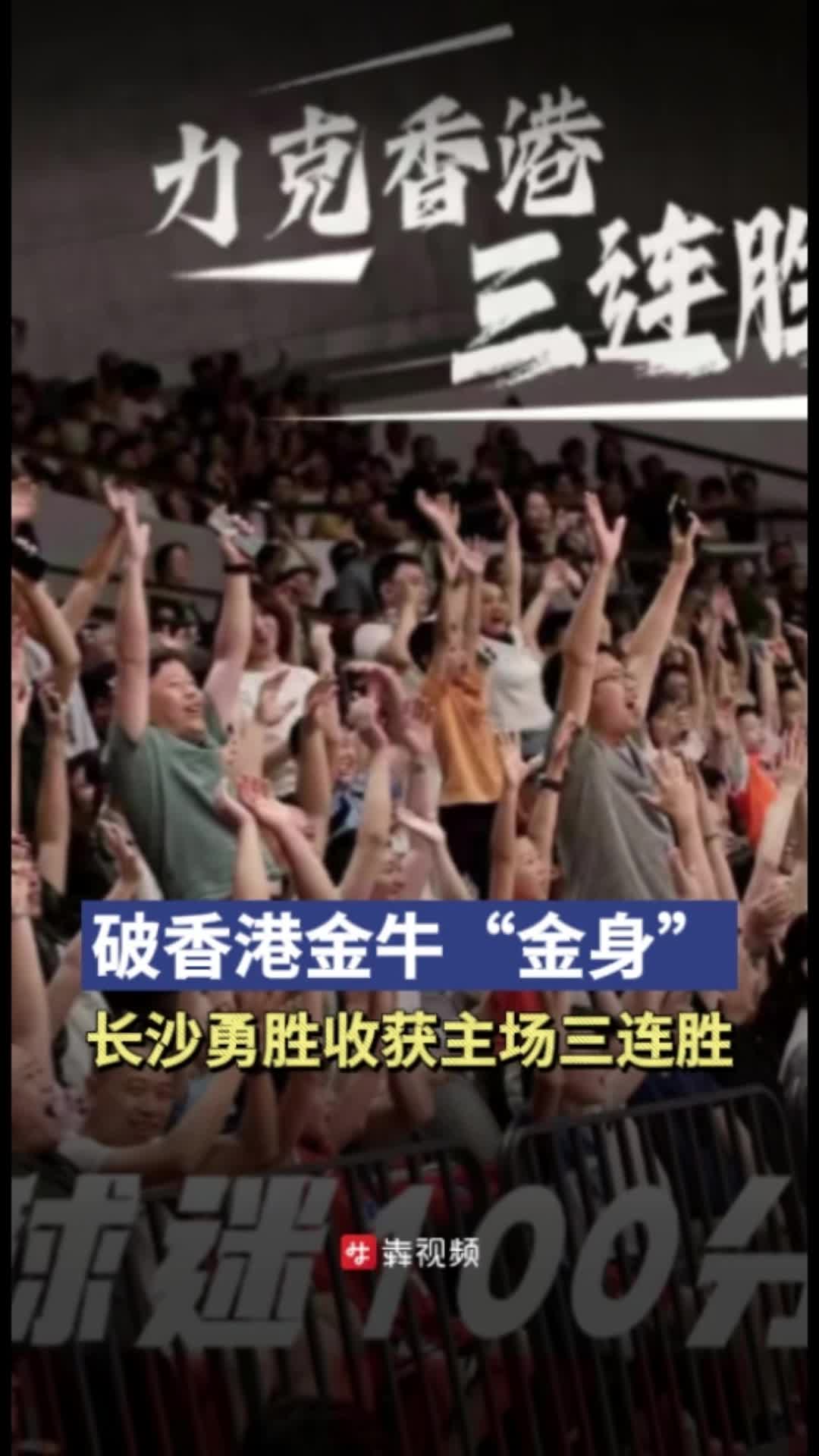 香港大金牛图片