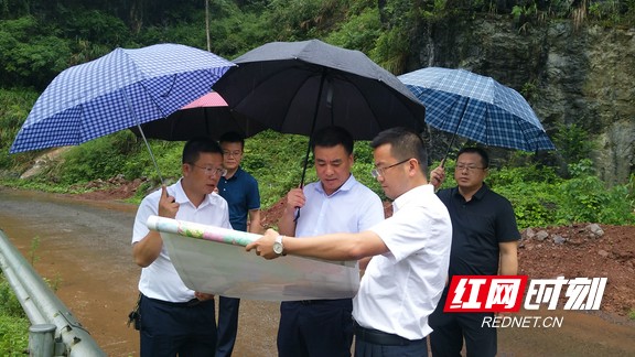 彭武学到乡镇调度防汛度汛,乡村振兴等重点工作