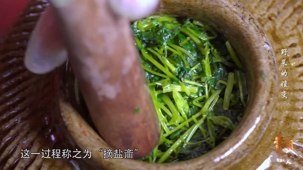 【崇明非遗】野菜的嬗变-草头盐齑制作技艺