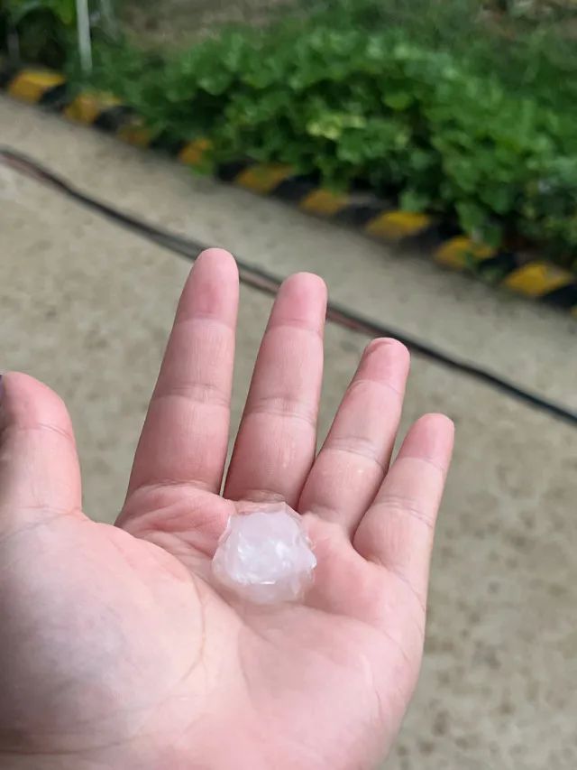 刚刚,杭州下起冰雹!网友惊呼:第一次见这么大的!