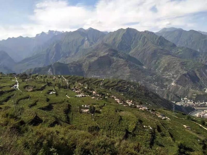 汶川县布瓦村全景图