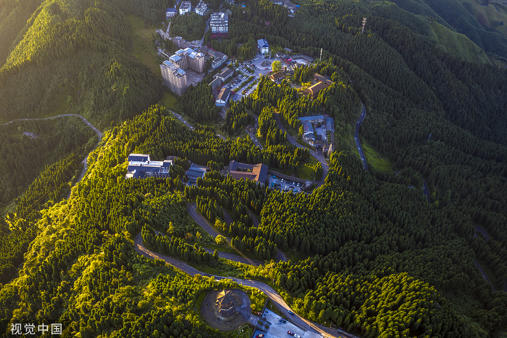 什邡红豆村图片图片